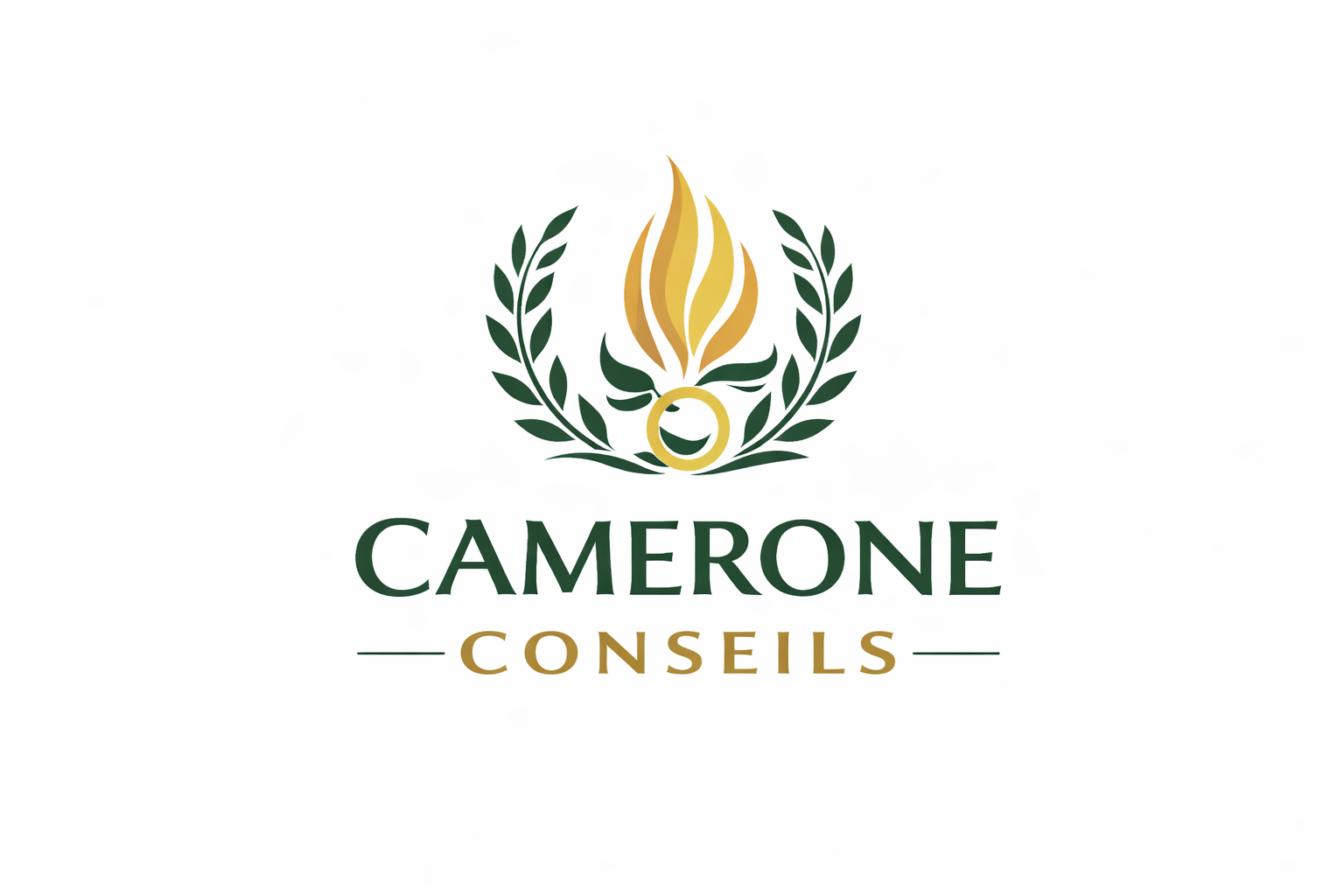 Camerone-Conseils